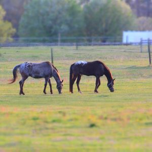 Meet your Posher, Greg n